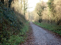 Le Ravel