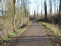 Le Ravel